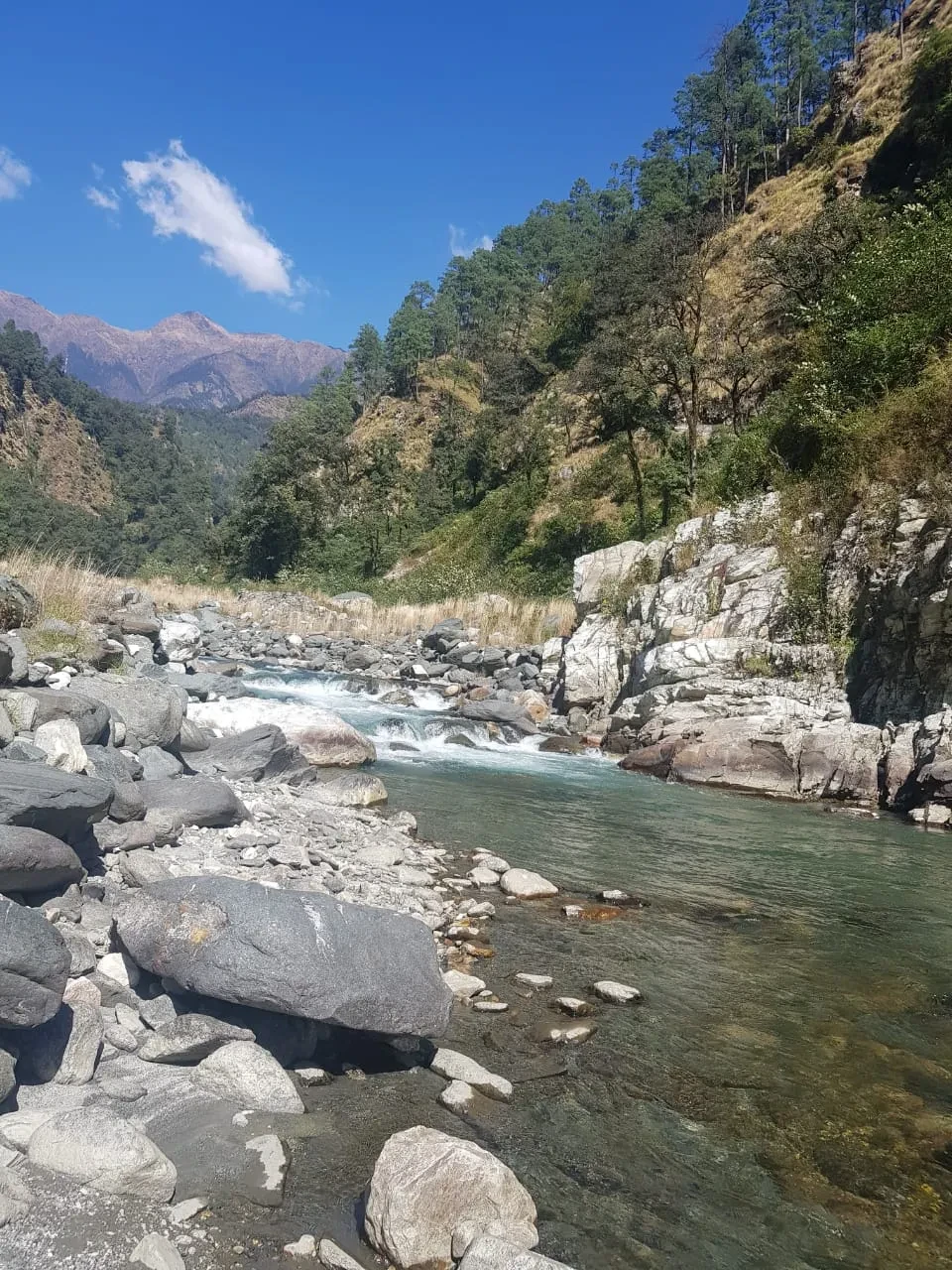 Hill Dew Homestay Uttarkashi Uttarkashi [Outdoor View]